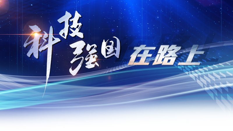 外资CRM系统与本土CRM系统：差异解析与选择要点